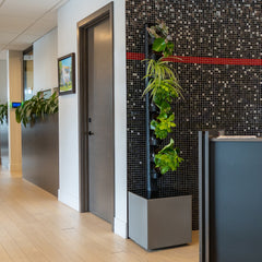 Tevagrow™ – TEVATOWER™