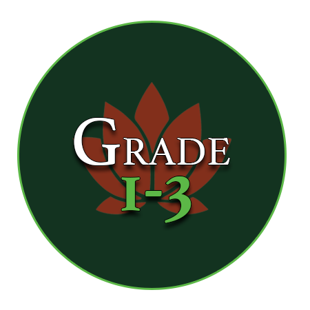 Growing Plants, Growing Minds - Grade 1-3