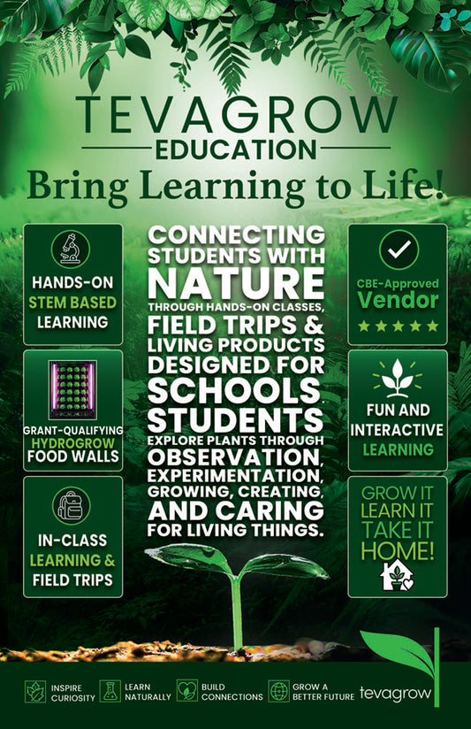 Free In-School Consultation