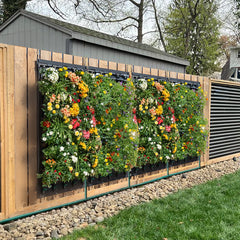 Tevagrow™ – TevaWall™ Garden