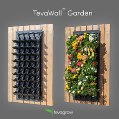 Tevagrow™ – TevaWall™ Garden