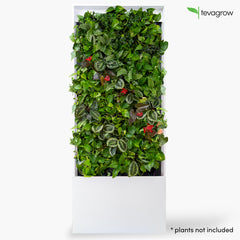 Tevagrow™ – TEVAWALL™