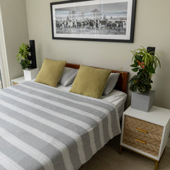 Tevagrow™ – TevaTower™ Mini