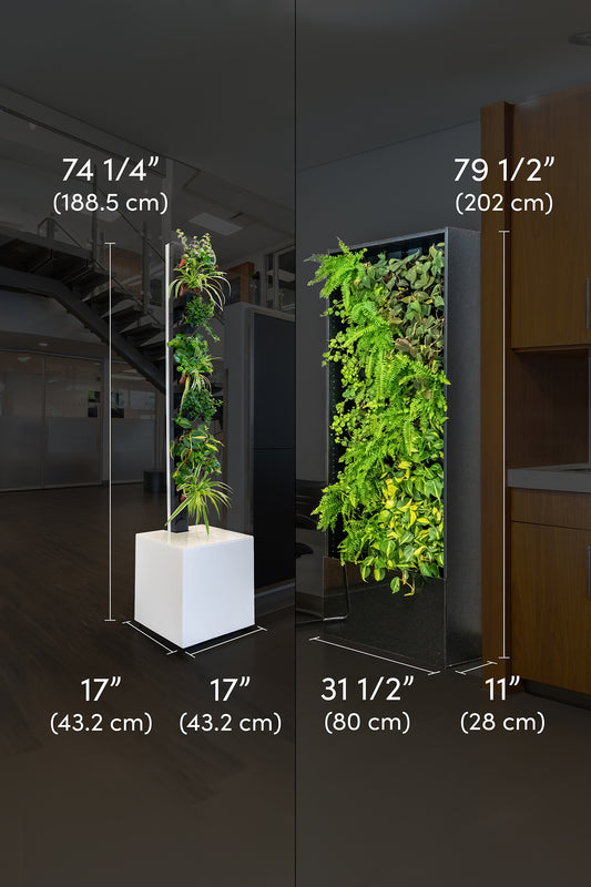 Living Wall and Living Tower Dimensions