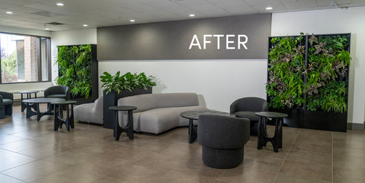 Office Building Living Walls