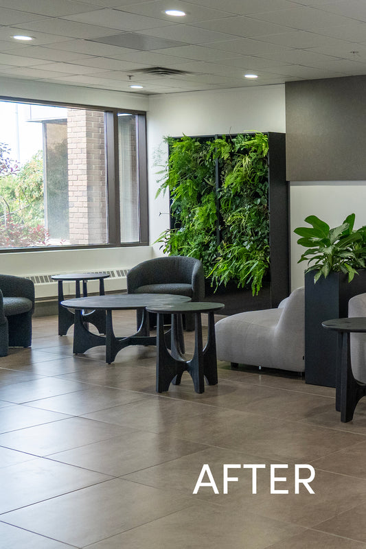 Office Building Living Walls