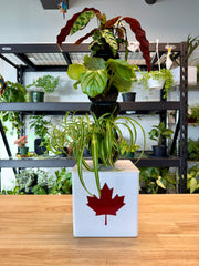 Tevagrow™ – TevaTower™ Mini