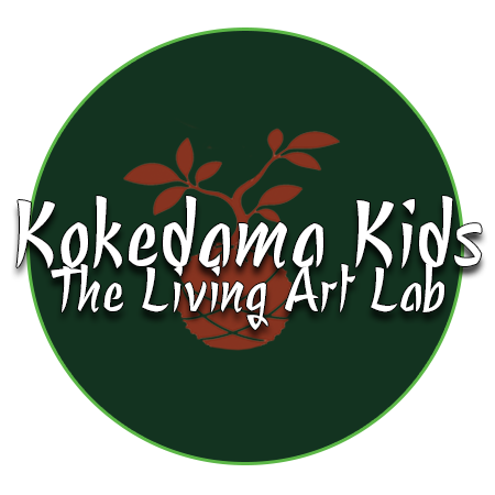 Kokedama Kids Kids - Living Art Lab