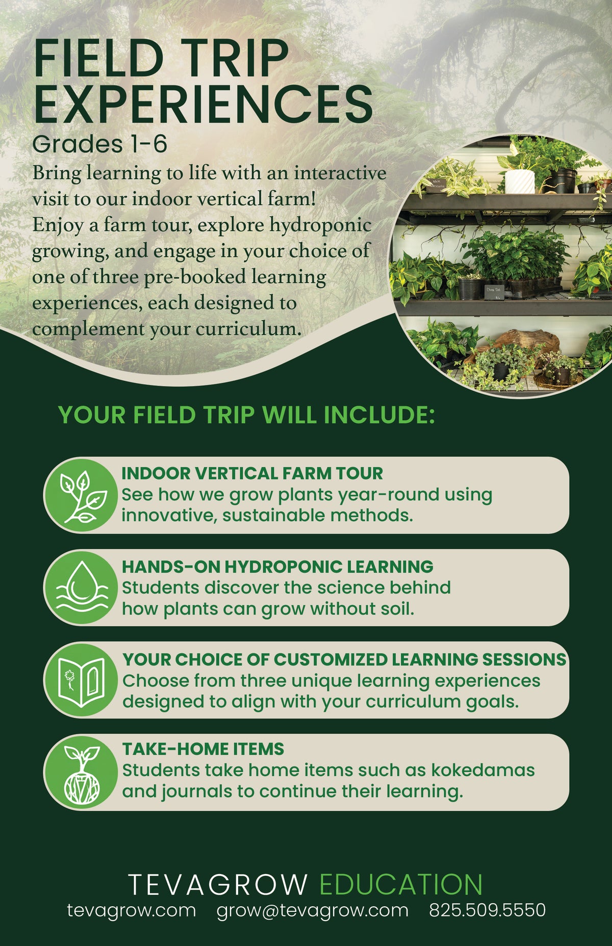Field Trip Experience
