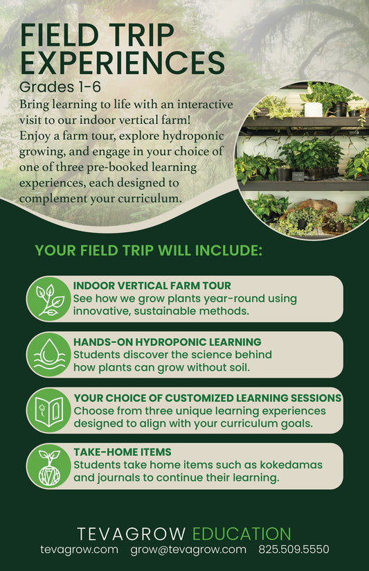 Field Trip Experience