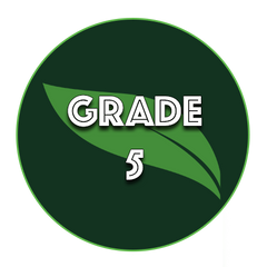 Plant Science Explorers - Grade 5