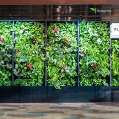 Tevagrow™ – TEVAWALL™