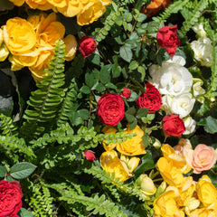 Tevagrow™ – TevaWall™ Garden
