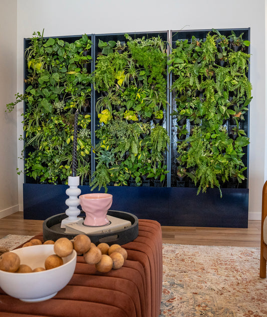 Tevagrow Modular Living Walls