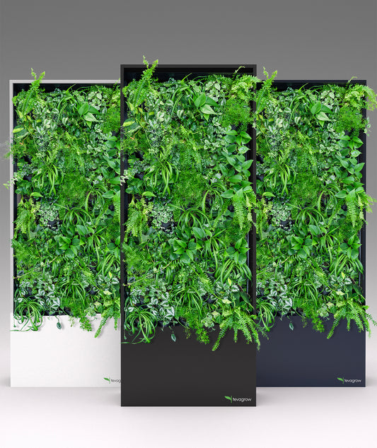Tevagrow Living Walls