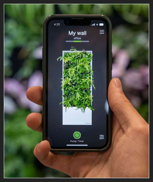 App-controlled Living Walls