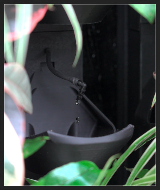 Self-Watering Living Wall