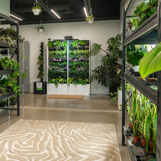 Tevagrow Plants Showroom