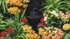 Tevagrow™ – TevaWall™ Garden