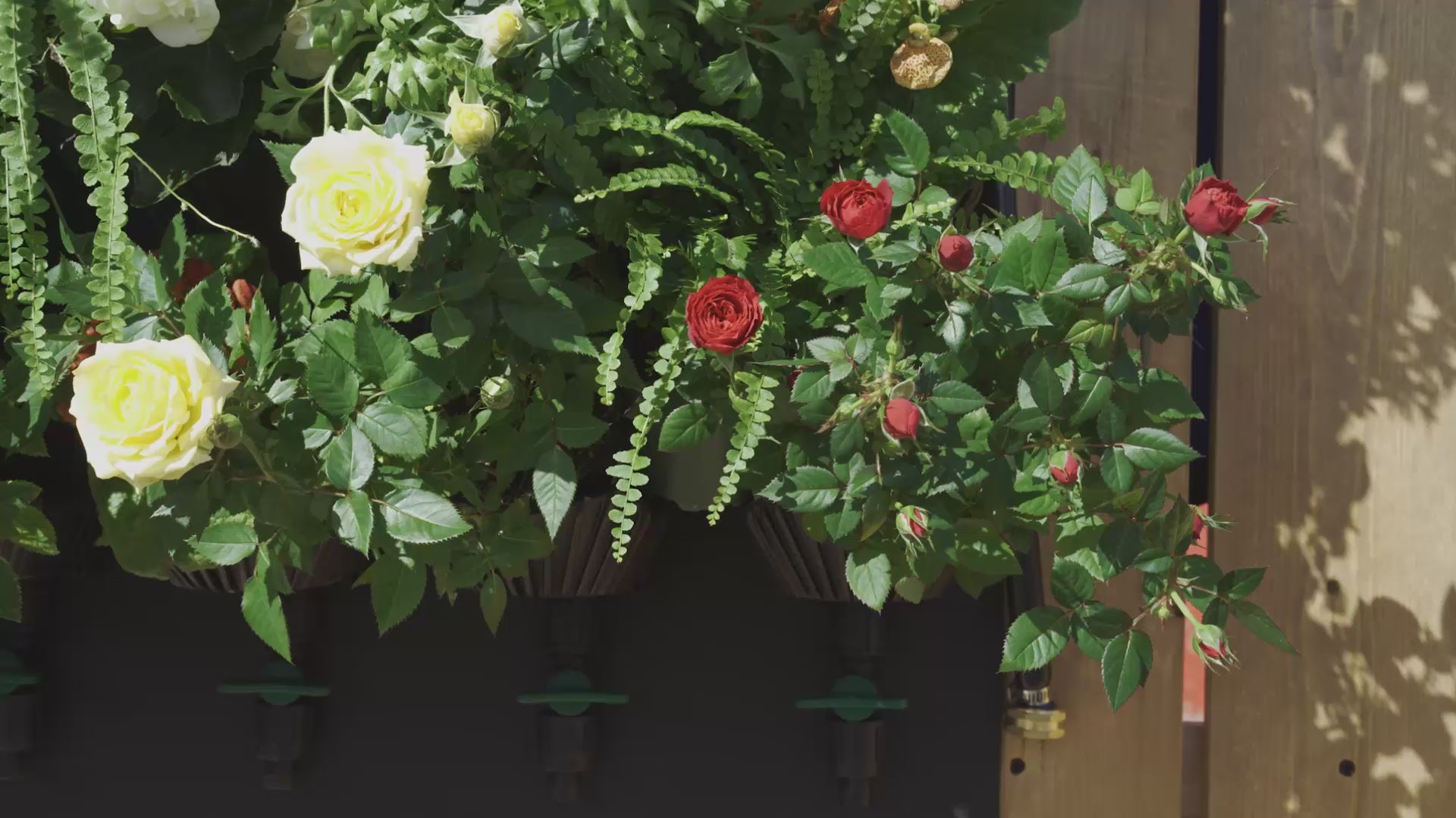 Tevagrow™ – TevaWall™ Garden