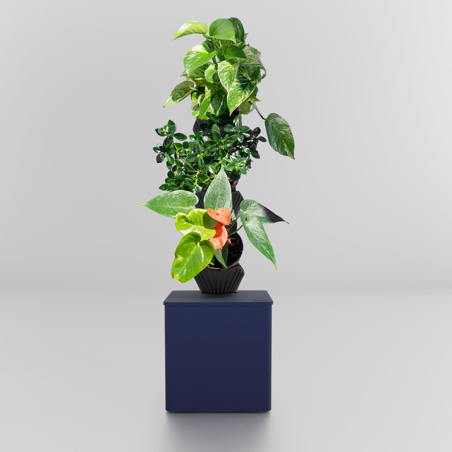 TevaTower™ Mini