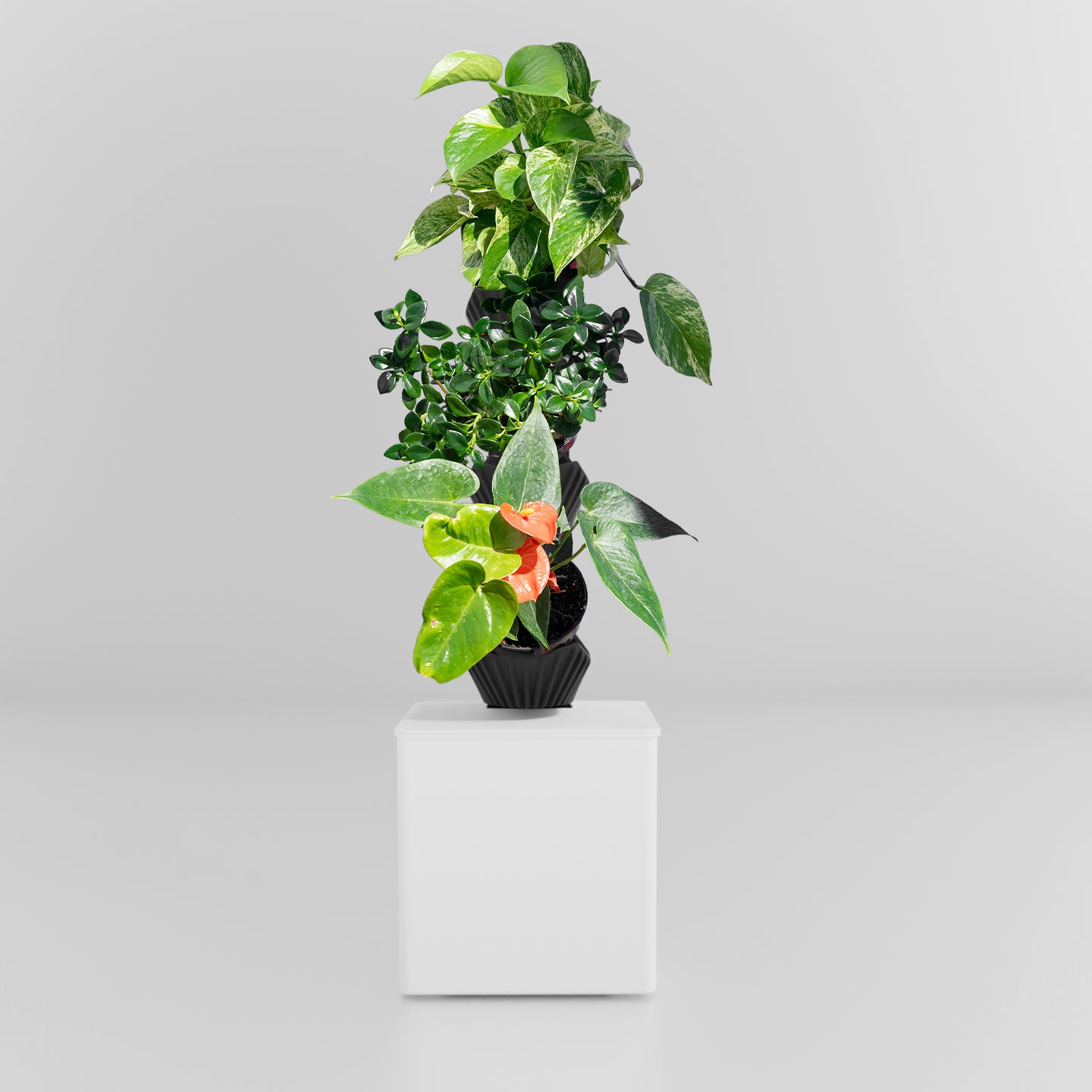 TevaTower™ Mini