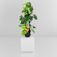 Tevagrow™ – TevaTower™ Mini