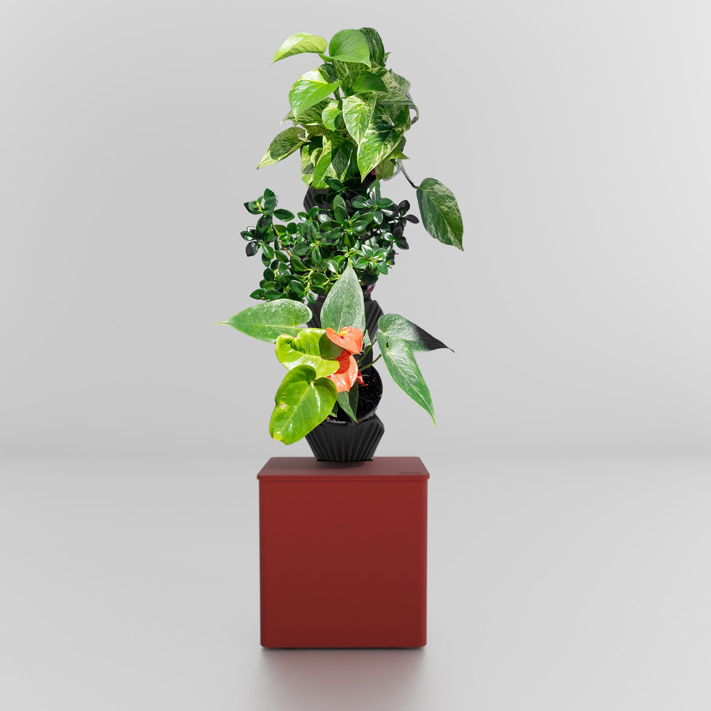 TevaTower™ Mini