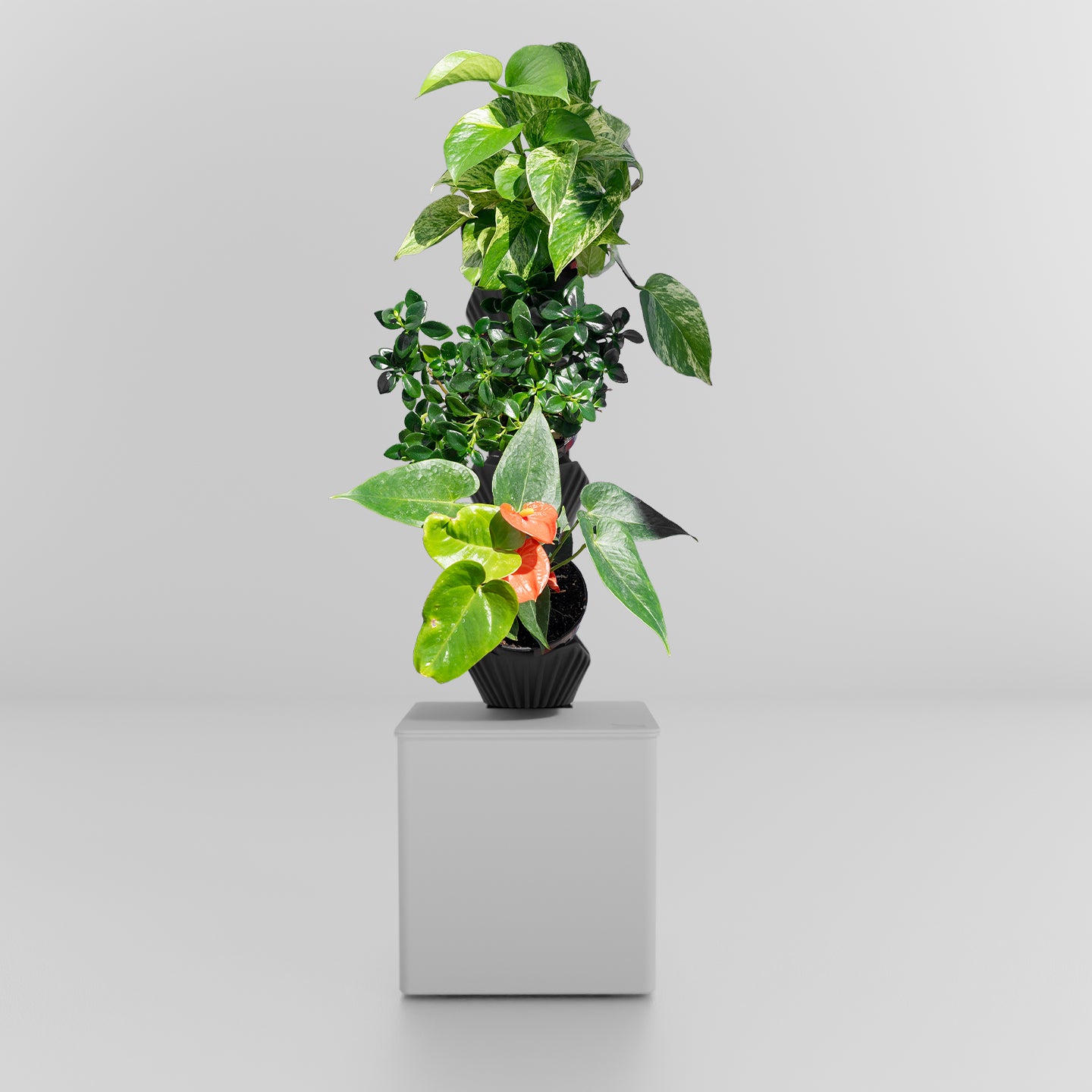 TevaTower™ Mini