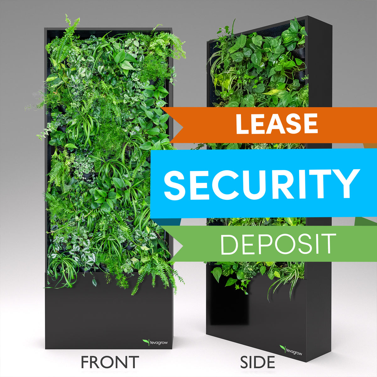TevaWall™ Security Deposit for Lease