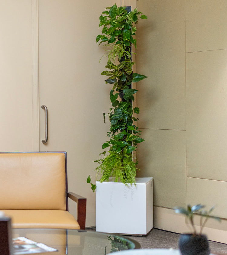 Living Towers in Calgary