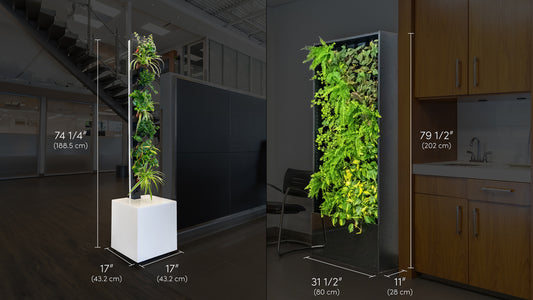 Living Wall and Living Tower Dimensions