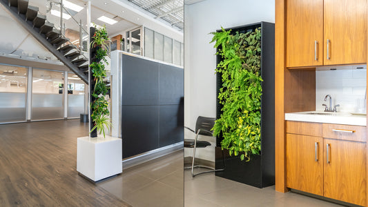 Living Wall and Living Tower Dimensions