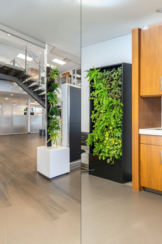 Living Wall and Living Tower Dimensions