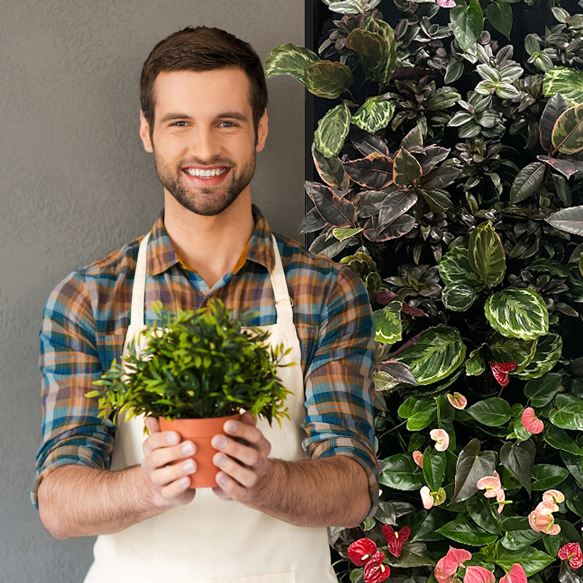Monthly Tevagrow™ Wall + Grow Light Maintenance Plan