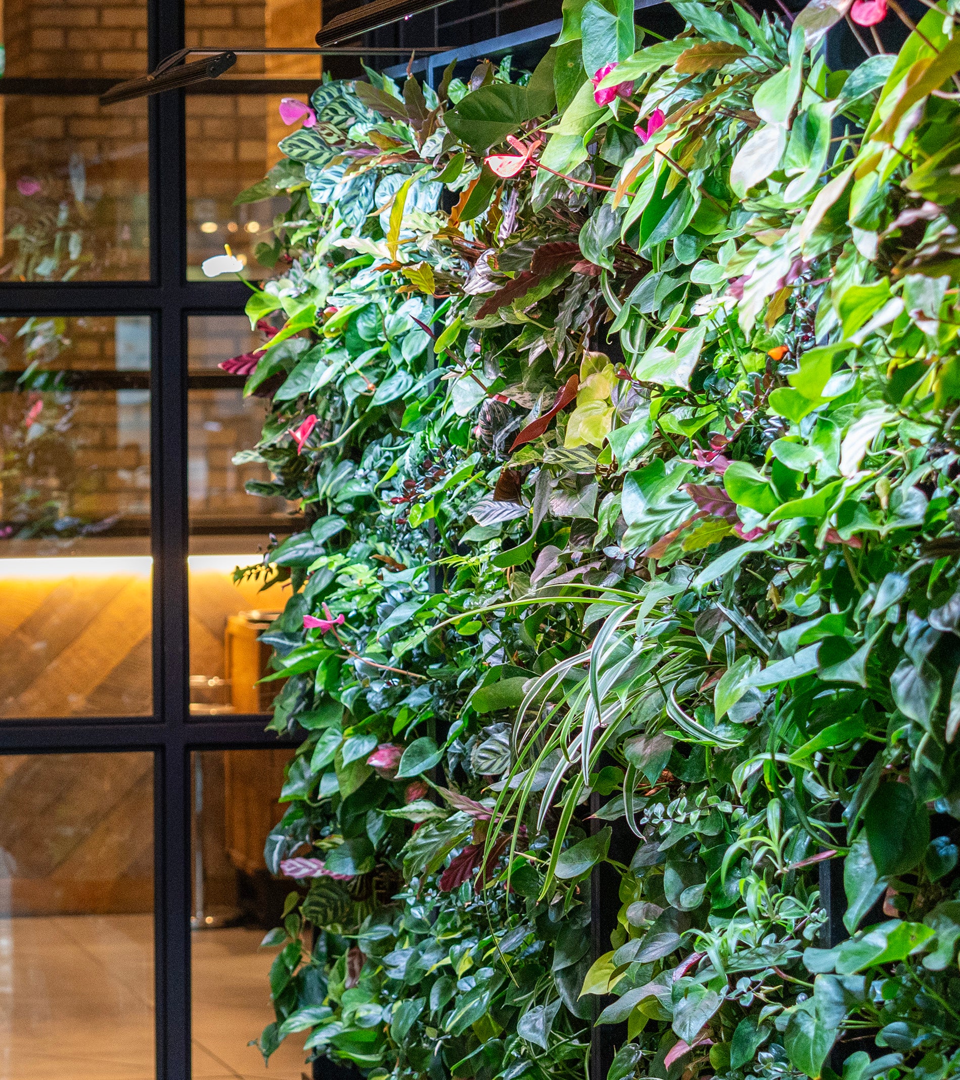 ウォールフラワー ウォールグリーン 北欧 ナチュラル カントリー　ビタミンカラー Living Walls Calgary Canada – Tevagrow